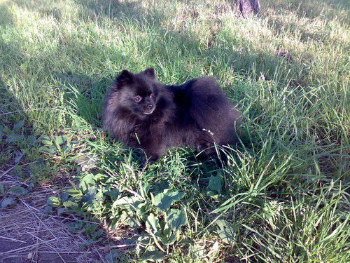 Екатерина Винокурова