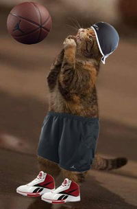 Никита Бораненков