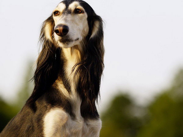 Татьяна Бухта(Радкевич)