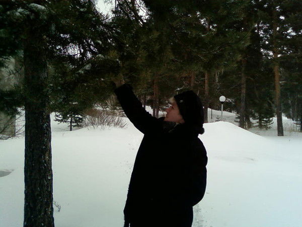 Любовь Соколова