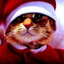 Ксения Никитина