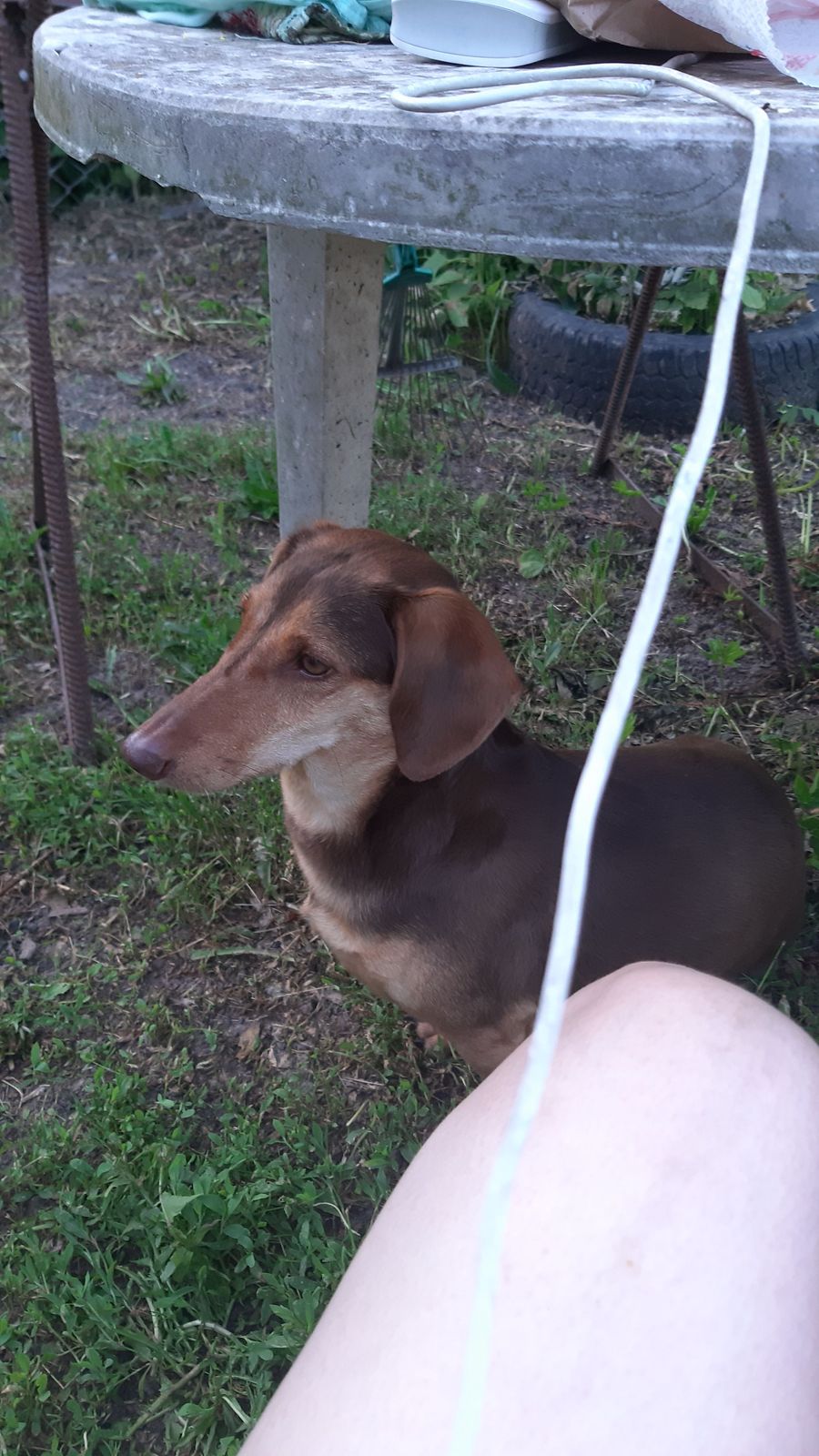 Татьяна Карась