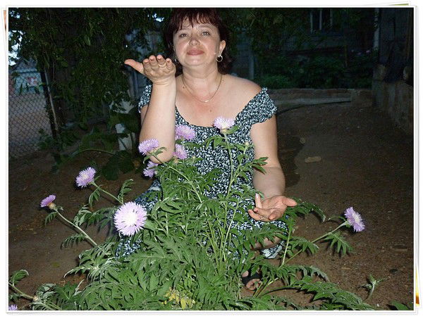 Татьяна Барабанова