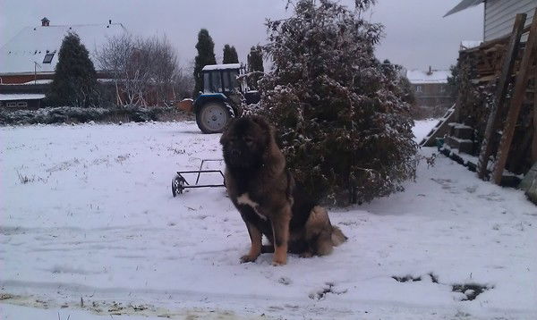 Денис Минаков