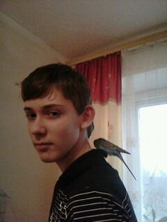 Кирилл Табаев