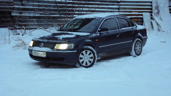 Дмитрий Местный