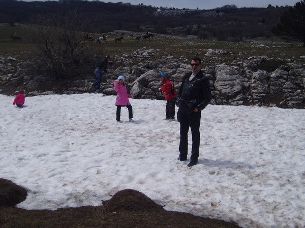 Алексей Гордиенко