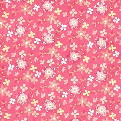 Даха Жилина