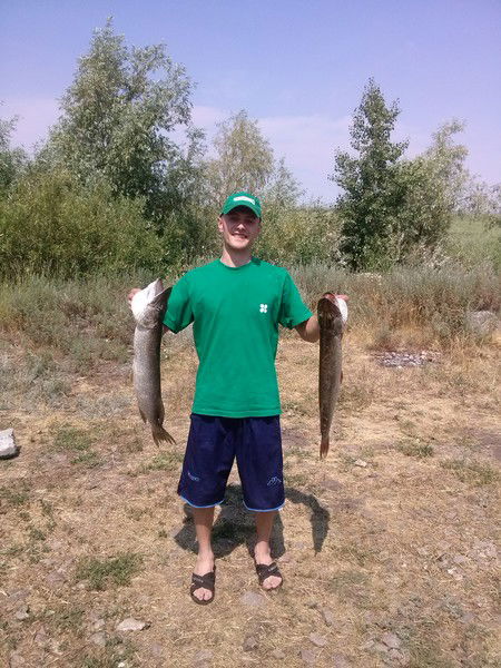 Сергей Семченко