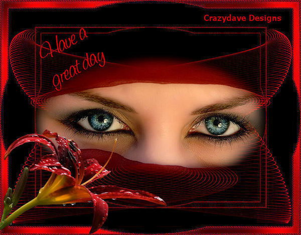 Наида Шарабудинова