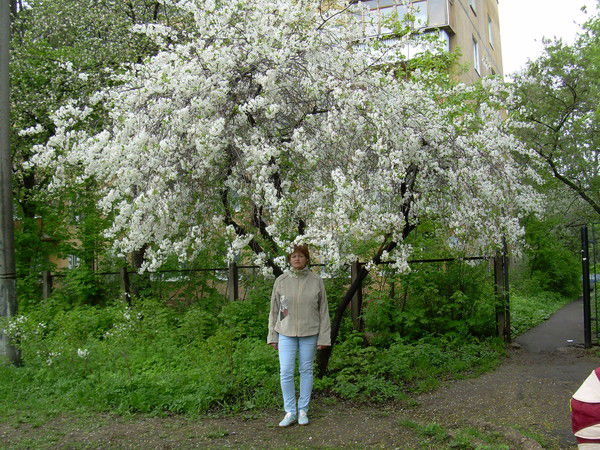 Галина Лавренюк