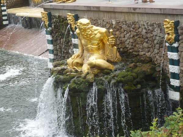 Наташа Дельфиненок