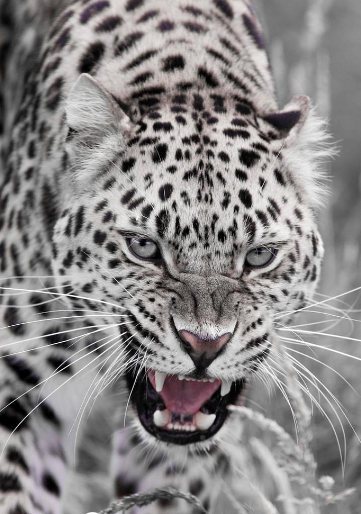 Александра Плохотниченко