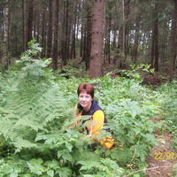 Марина Киреева