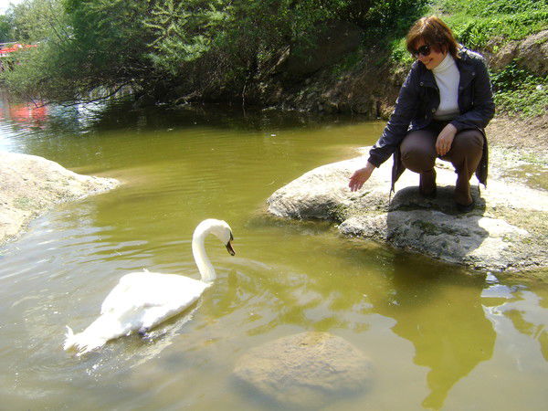 Лариса Томилова