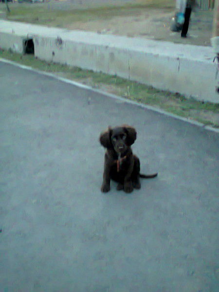 Татьяна Воловникова