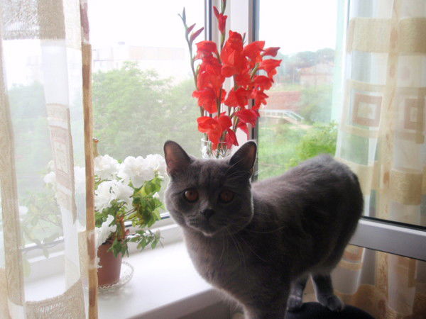 Татьяна Филипенко