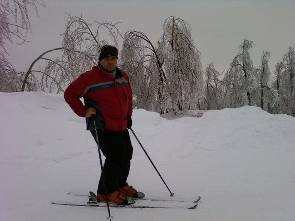 Игорь Голиков