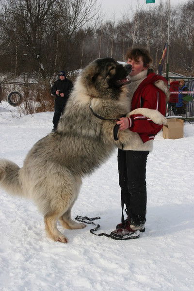 Людмила Зудина