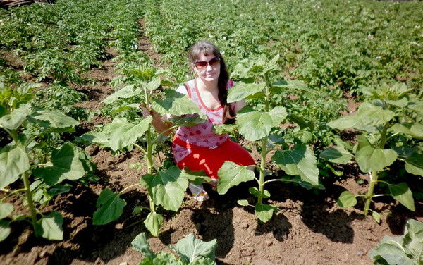 Елена Рогачева