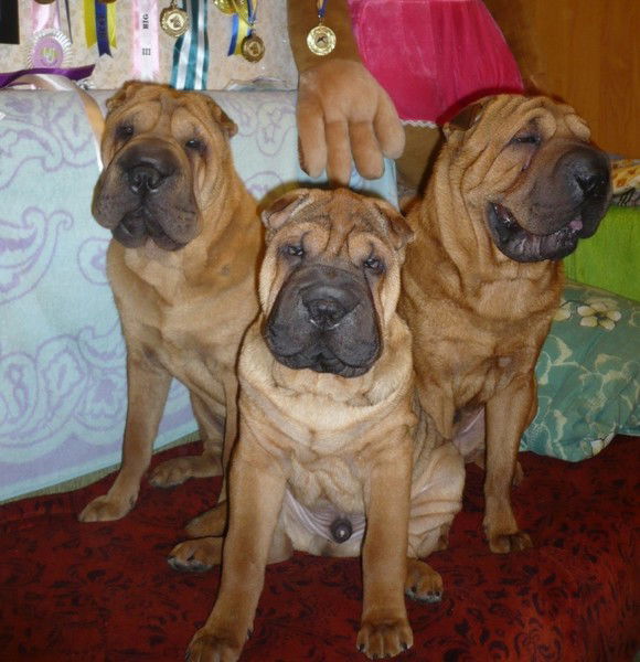 Ильчук Александр