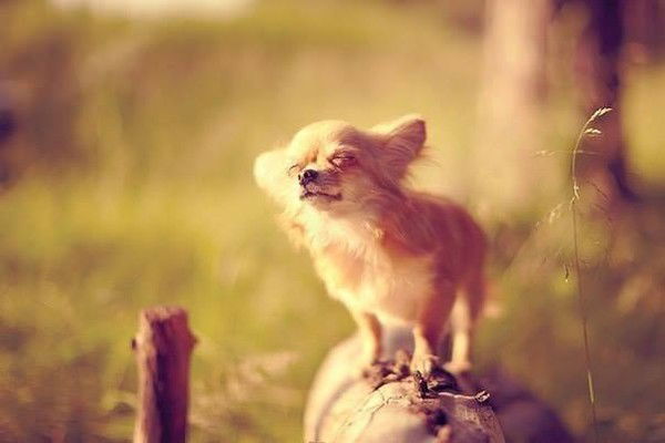 Таня Гурьянова