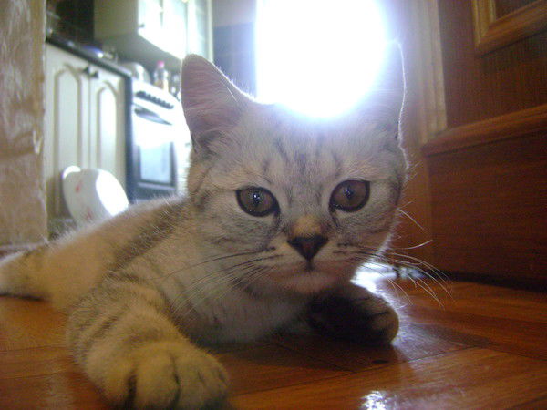 Андрей Югай