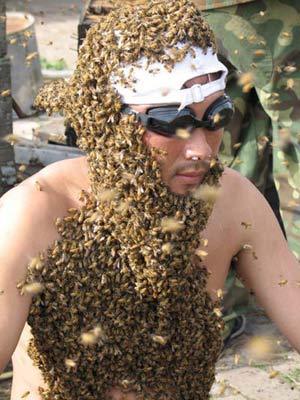 Вячеслав Андреев