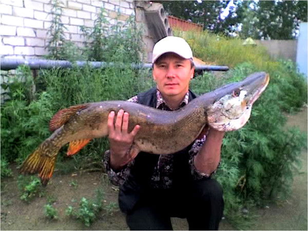 Болат Куандыкович