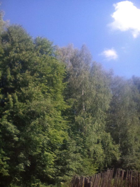 Александр Евсеев