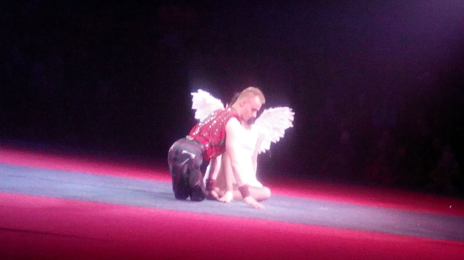 Маргарита Ритка