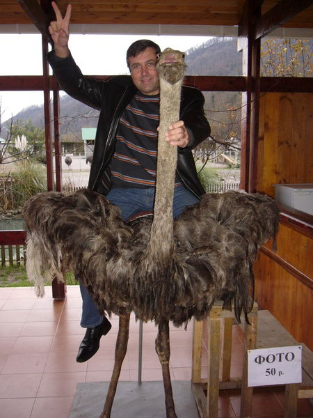 Дмитрий Меркулов