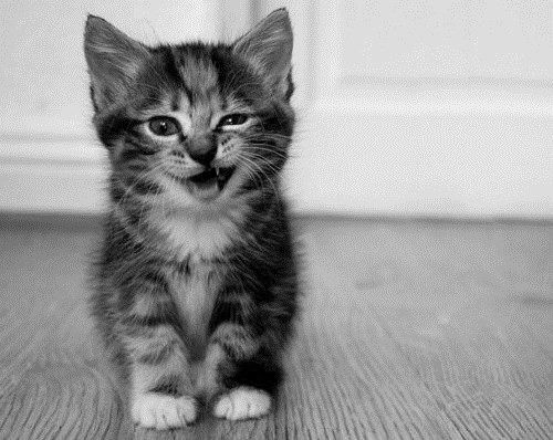 Жизнь Игра А Люди Актёры.