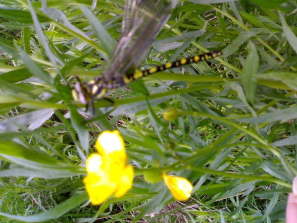 Раушан Сарсенбаева