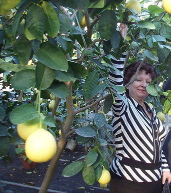 Наталья Емелина