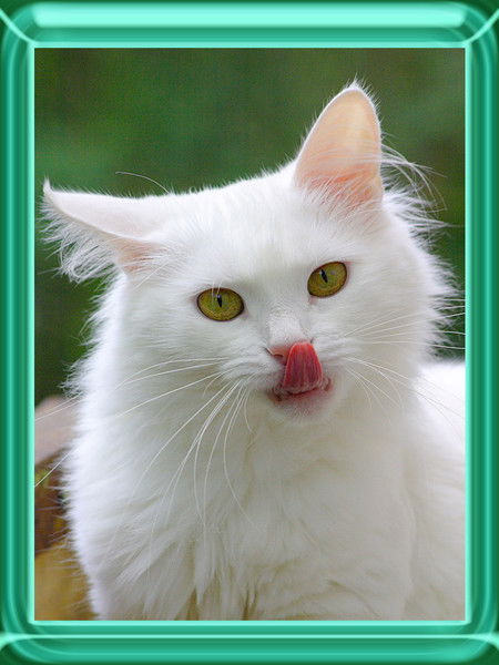 Тамара Усанова