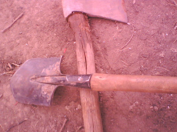 Константин Олейник