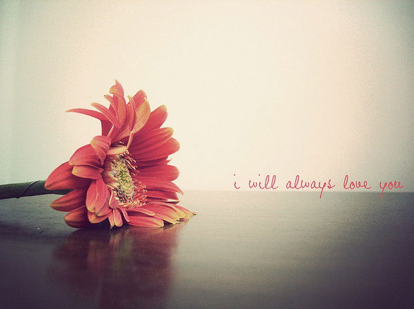 Маргарита Елистратова