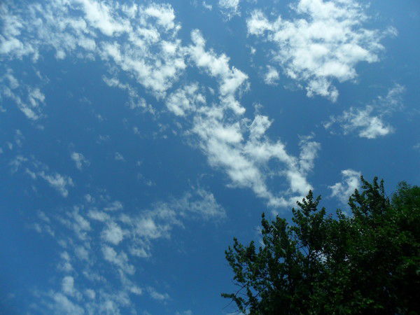 Юрий Пупынин