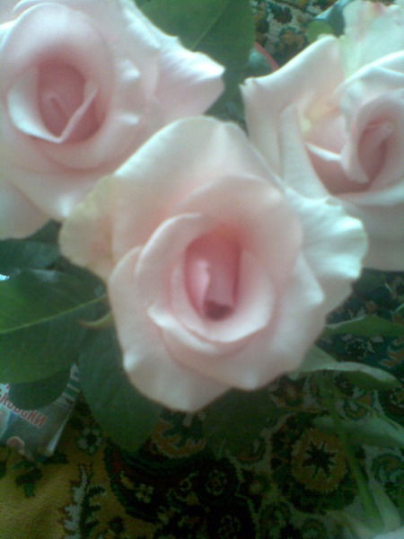 Антон Мастепан