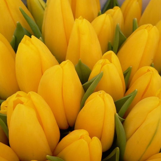 Динара Нурсагатова