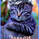 Александр Дон Педро