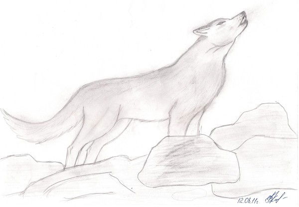 Светлана Кашлева