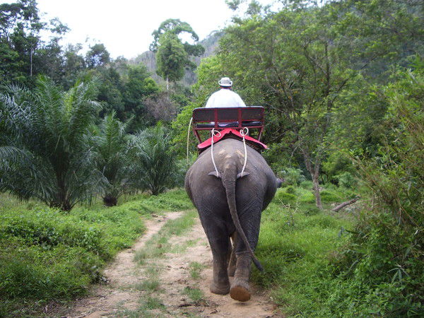 Сергей Санкичев