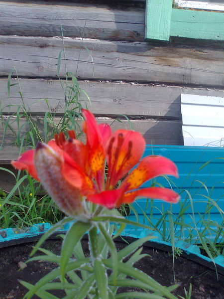 Наталья Иванова