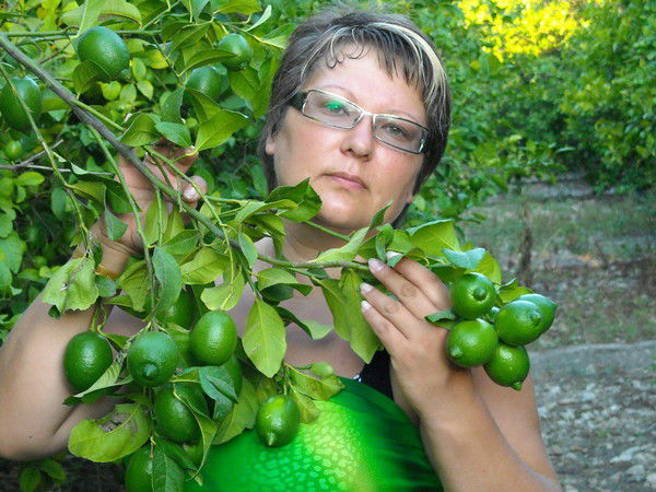 Елена Бескопытная