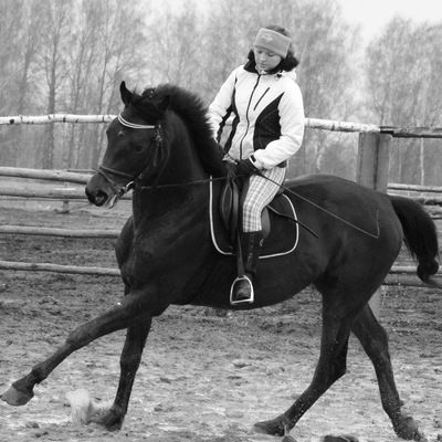 Екатерина Николаева