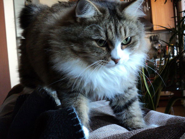 Игорь Metro 2033