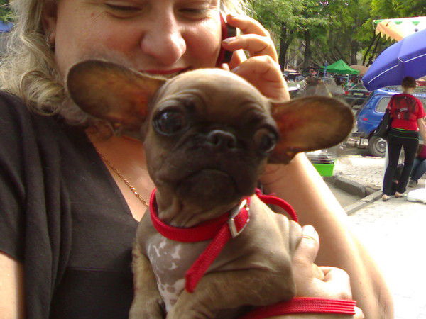 Влада Пыжова