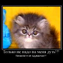 Валера Доржиев